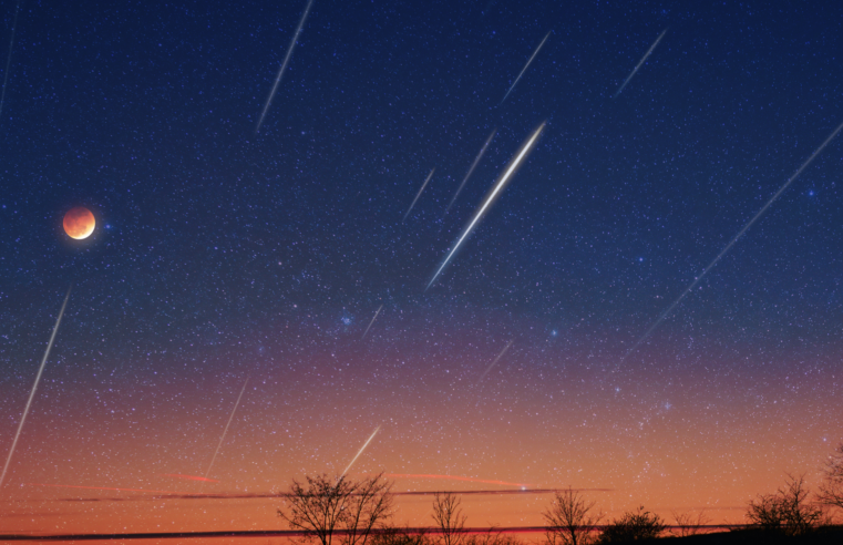 Novembro Estrelado: eventos astronômicos imperdíveis para observar no céu