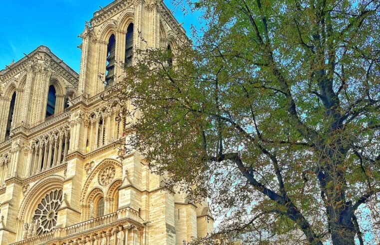 Histórico! Utilizando técnicas e materiais do século XIII, Notre-Dame de Paris é restaurada