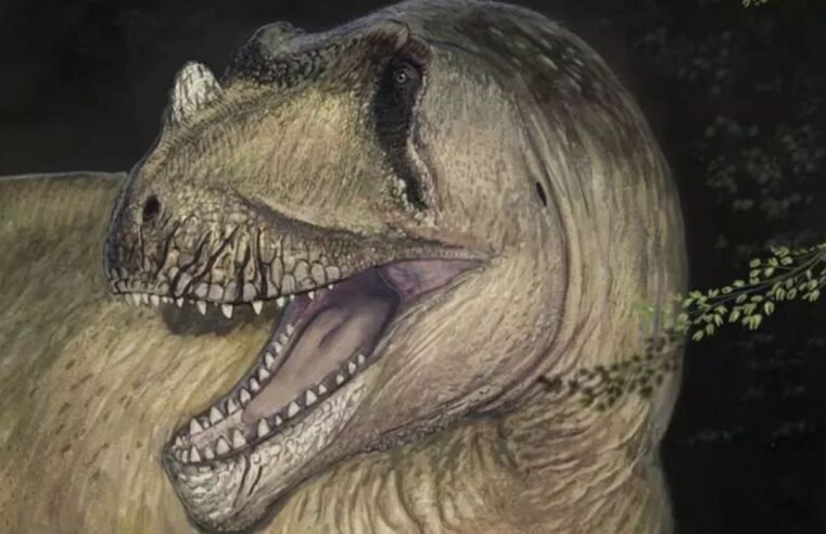 Descoberta no Egito revela dinossauro gigante e reescreve história fóssil