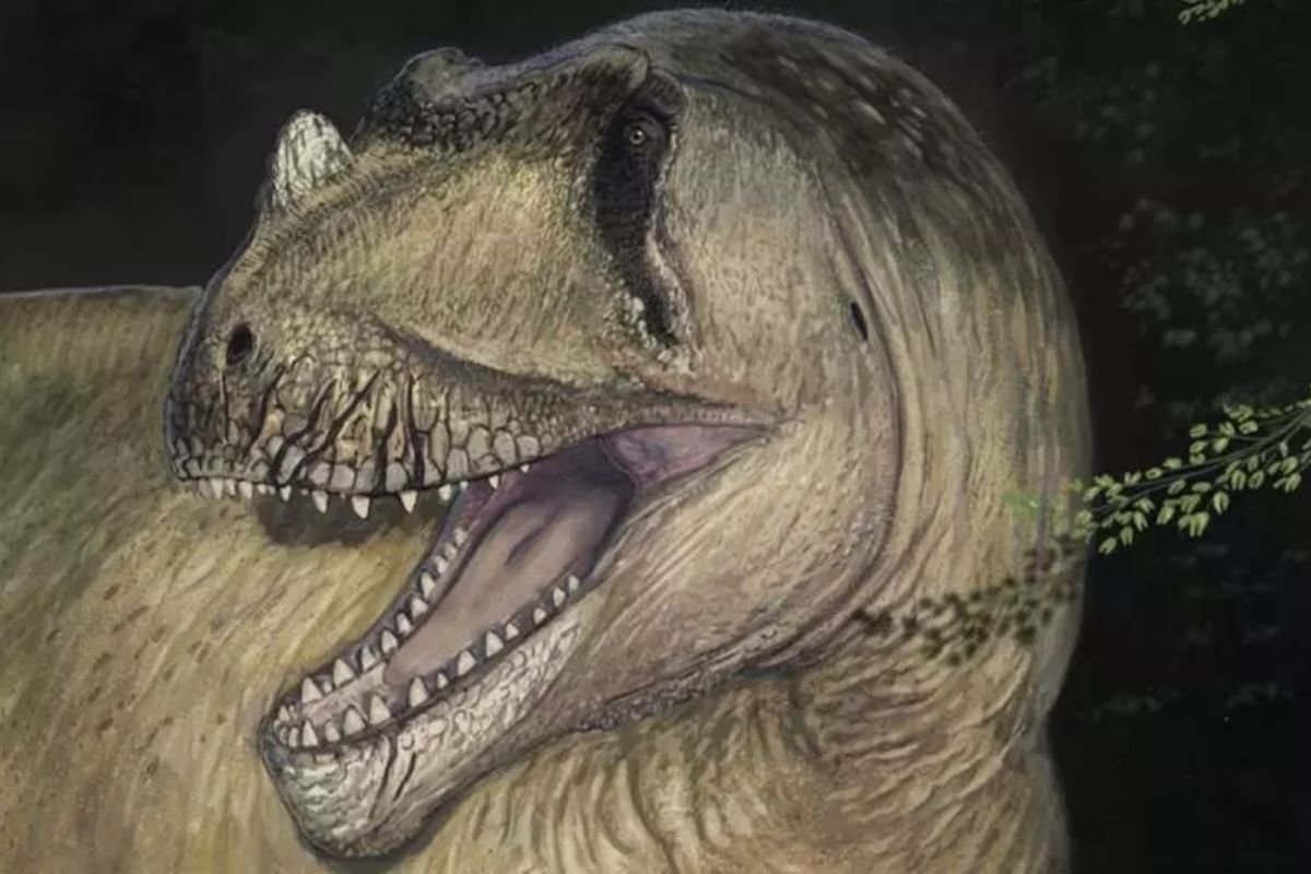 Descoberta no Egito revela dinossauro gigante e reescreve história fóssil