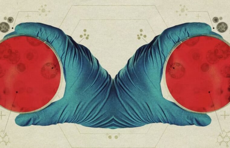 Cientistas alertam risco global com possível criação de vida espelho