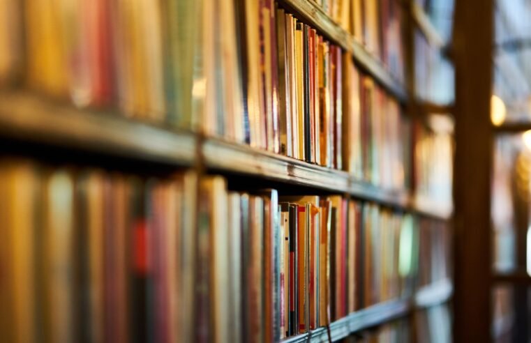 Biblioteca Refúgio Literário amplia acesso à cultura em Várzea Grande