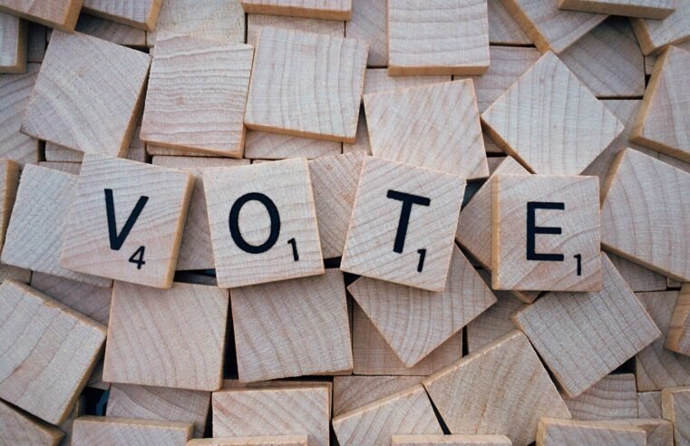 Eleição do CNPC terá votação virtual em novembro e resultado em dezembro