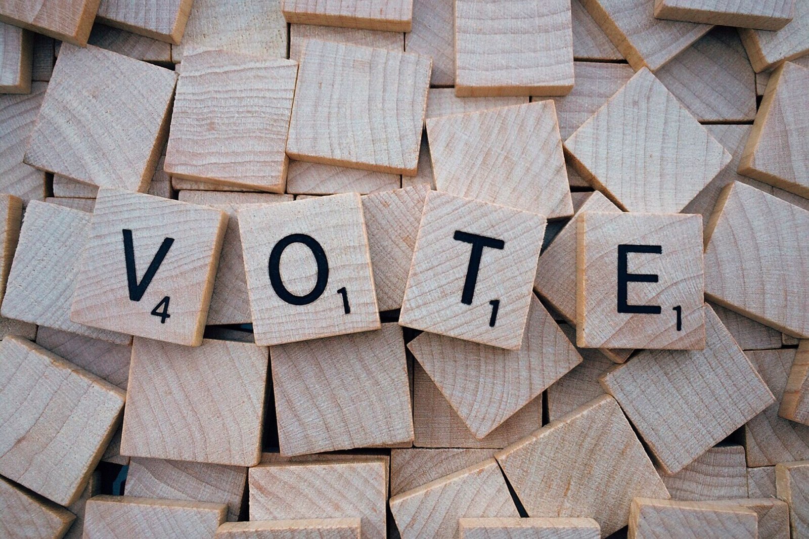 Eleição do CNPC terá votação virtual em novembro e resultado em dezembro